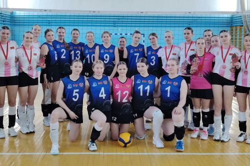 В Шклове завершился Открытый турнир по волейболу, посвященный Дню Конституции Республики Беларусь